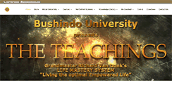 Desktop Screenshot of bushindo.com